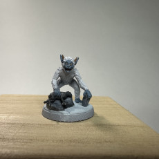 Picture of print of Icewind Yeti tyke (supported)
