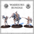 Warriors Bundle image