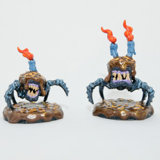 Picture of print of Cake Mimic Anniversary Collection