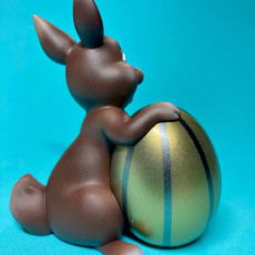 Picture of print of Easter bunny