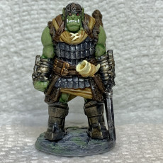 Picture of print of Orc Guard Pack