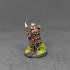 Picture of print of Fantasy Series 08 Bundle, 5x minis - PRE-SUPPORTED This print has been uploaded by Brian