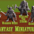 Fantasy Series 08 Bundle, 5x minis - PRE-SUPPORTED image