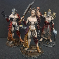 Picture of print of Coven Leader - Set 1 - Cursed Elves