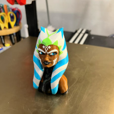 Picture of print of Ahsoka Tano Multicolour Bust