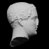 Hellenistic Nobleman Statue Head image