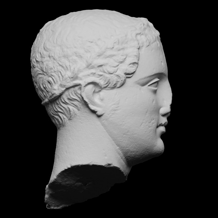 Hellenistic Nobleman Statue Head