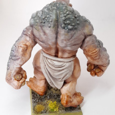 Picture of print of Stone Troll (pre-supported)