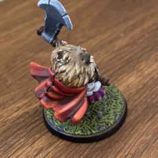 Picture of print of Beau The Pomeranian Swarm Ranger