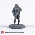 Half-Elf Bard 32mm and 75mm scale pre-supported image