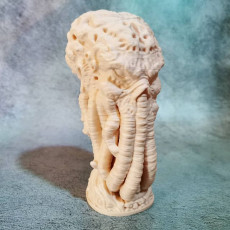 Picture of print of Cthulhu Head (Pre-Supported) This print has been uploaded by Namu3D