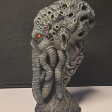 Picture of print of Cthulhu Head (Pre-Supported) This print has been uploaded by DiGi
