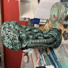 Picture of print of Cthulhu Head (Pre-Supported) This print has been uploaded by Filip Doniec
