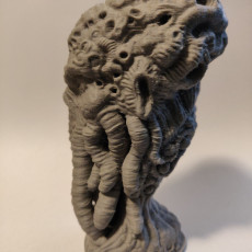 Picture of print of Cthulhu Head (Pre-Supported) This print has been uploaded by Jay Mindslayer