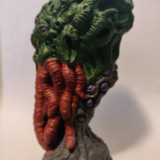 Picture of print of Cthulhu Head (Pre-Supported) This print has been uploaded by Jay Mindslayer
