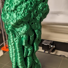 Picture of print of Cthulhu Head (Pre-Supported) This print has been uploaded by Joe Yenkelun