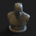 Batman Bust Posed image