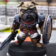 Picture of print of Barkonian Pug Shield Warrior