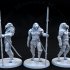 Lion Warriors (70-100mm scale) image
