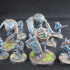 Lunar Auxilia Bruisers - Presupported image