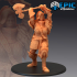 Fire Giantess Attacking / Female Armored Warrior / Lady Giant Knight image