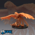 Phoenix / Vermillion Bird of the South / Elder Fire Elemental image