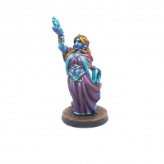 Picture of print of The Firbolg mage