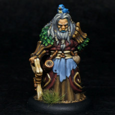 Picture of print of The Orc druid