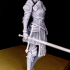 Crystal - 75mm - Female knight  - DnD print image
