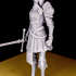 Crystal - 75mm - Female knight  - DnD print image