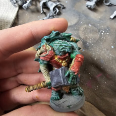 Picture of print of Torok, The Tortle Bloodhunter