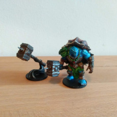 Picture of print of Torok, The Tortle Bloodhunter