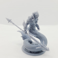 Picture of print of Triton Spear