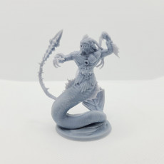 Picture of print of Triton Whip