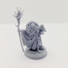 Picture of print of Wildwood Sanctum Archmage Camelothar
