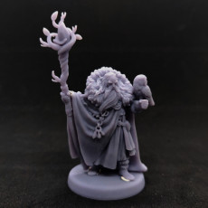 Picture of print of Wildwood Sanctum Archmage Camelothar