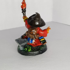 Picture of print of Gnome Wizard