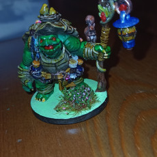 Picture of print of Olda, the Tortle Druid
