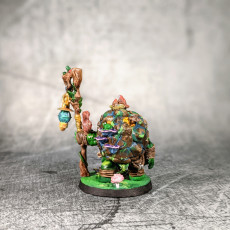Picture of print of Olda, the Tortle Druid