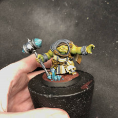 Picture of print of Tortle Cleric