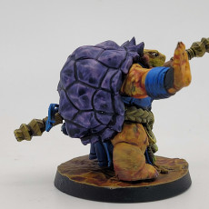 Picture of print of Tortle Monk