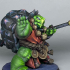Tortle Monk image
