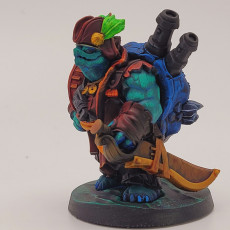 Picture of print of Tortle Pirate