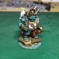 Picture of print of Tortle Pirate