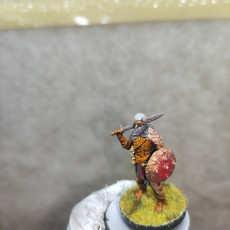 Picture of print of Bandit Commander - Pre Supported