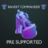 Bandit Commander - Pre Supported image
