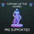 Captain of the Guard - Pre Supported image