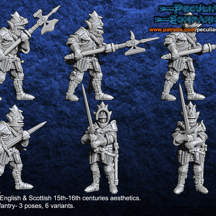 Anglo-Scottish Elfs - Heavy infantry's Cover