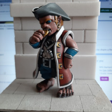Picture of print of Halfling Pirate "Cabbn"