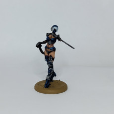 Picture of print of Female Elf Assassin normal and no dress  4 variants
